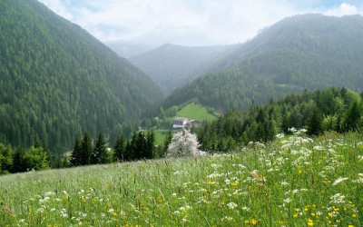 Wanderurlaub Eggental - Wellnesshotel Ganischgerhof Deutschnofen