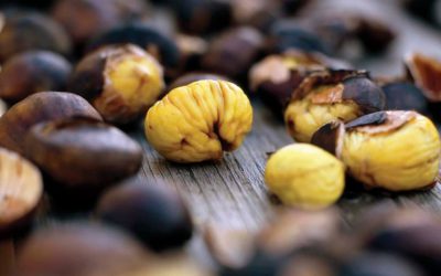 Hotel Törggelen Südtirol - Der Ganischgerhof bei Bozen